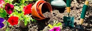 Giardinaggio